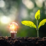 Lichtbulb mit kleinem Baum auf Erde in der Natur und Sonnenschein. Konzept des Sparens.